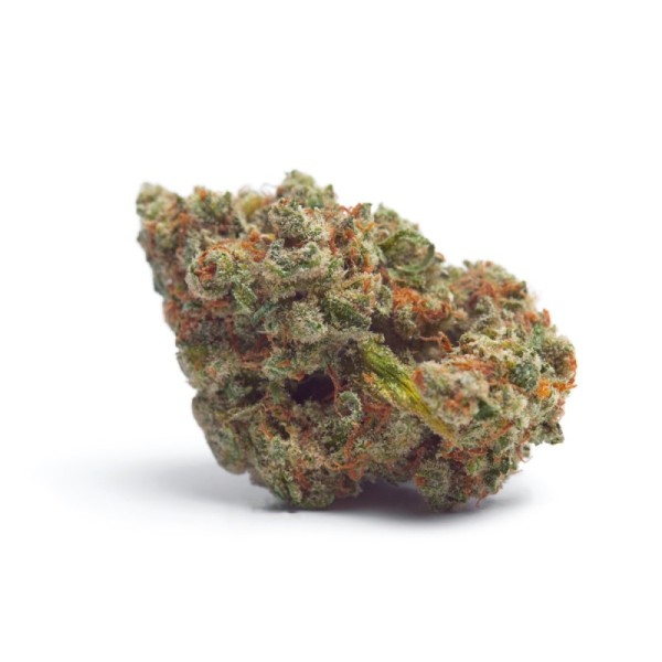 Tropicana Weddingcake - Growerschoice Seeds | Autoflowering