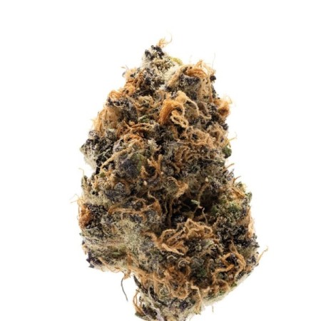 Watermelon Punch - Growerschoice  | Autoflowering Cannabis Seeds