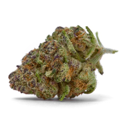 Purple Sunset - Growerschoice Seeds | Feminized Cannabis Seeds