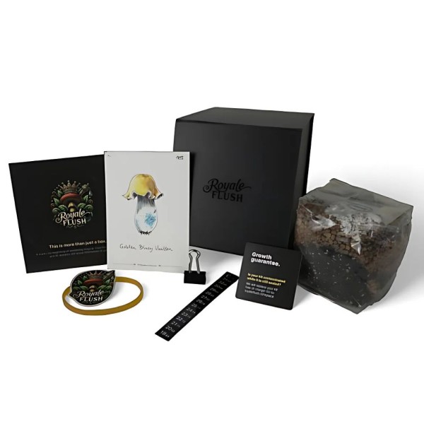 Mexicana 1200cc | Magic Mushroom Grow Kit | Royale Flush
