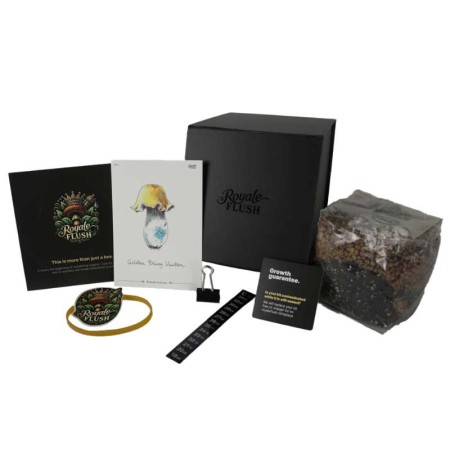 Albino Penis Envy 6 Magic Mushroom Grow Kit | Royale Flush