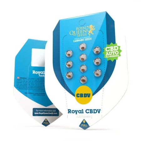 Royal CBDV Automatic - Royal Queen Seeds | CBD Cannabis Seeds Royal CBDV Automatic - Royal Queen Seeds | CBD Cannabis Seeds