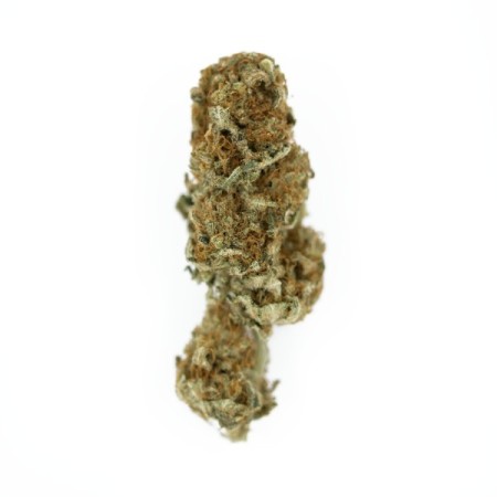 Euphoria - Royal Queen Seeds | CBD Cannabis Seeds Euphoria - Royal Queen Seeds | CBD Cannabis Seeds