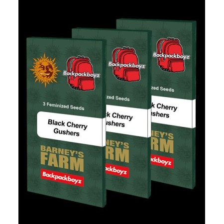 Black Cherry Gushers - Barney's Farm Seeds | Feminized