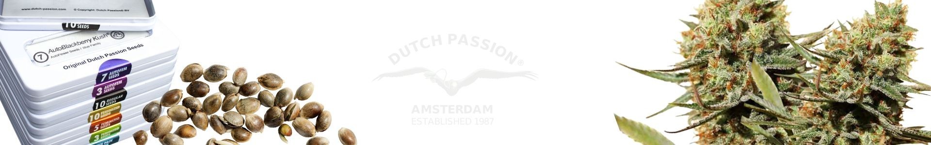 Dutch Passion