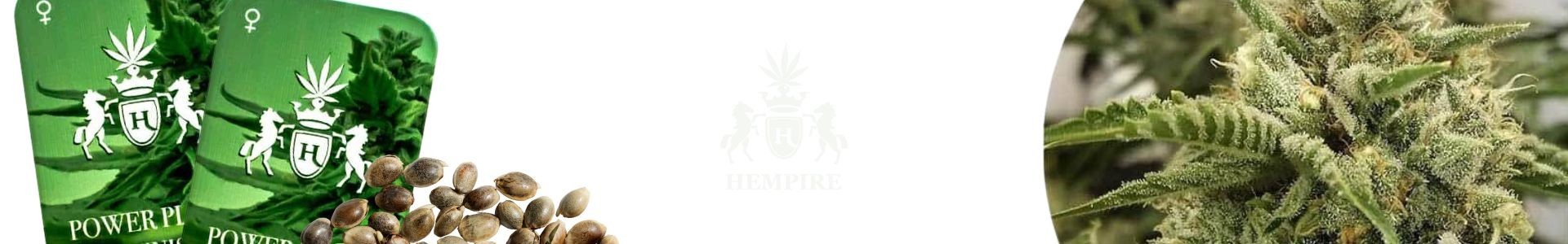 Hempire Seeds