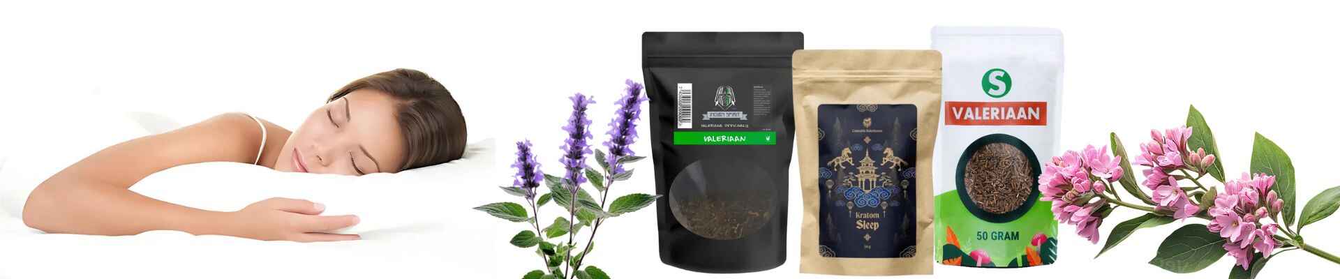 Herbs for Better Sleep