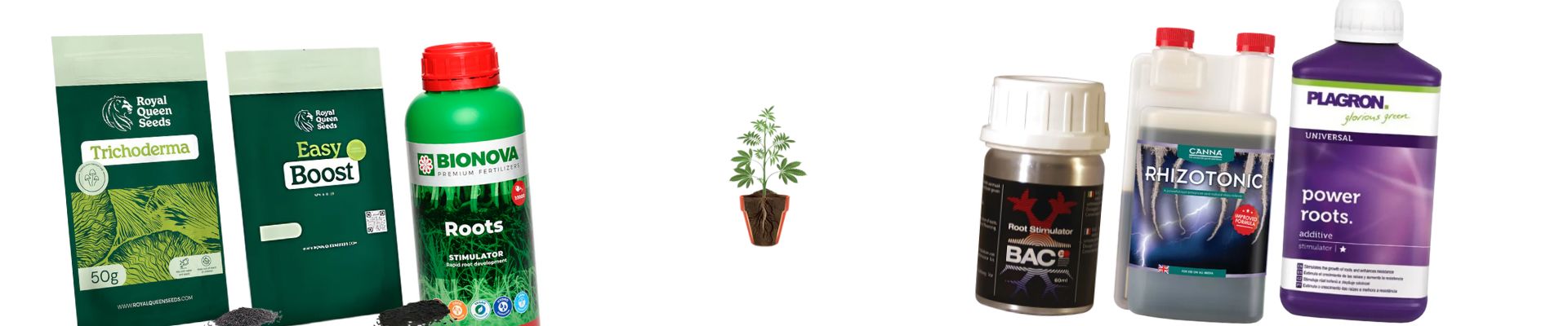 Top 10 Root Stimulator