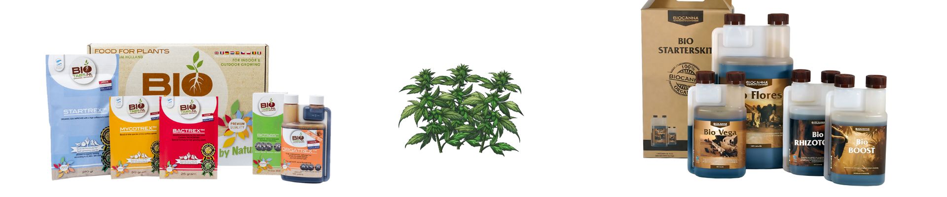 Organic Growing