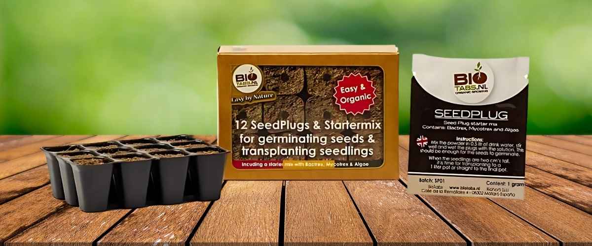 Various types of propagation plugs suitable for cannabis seed germination