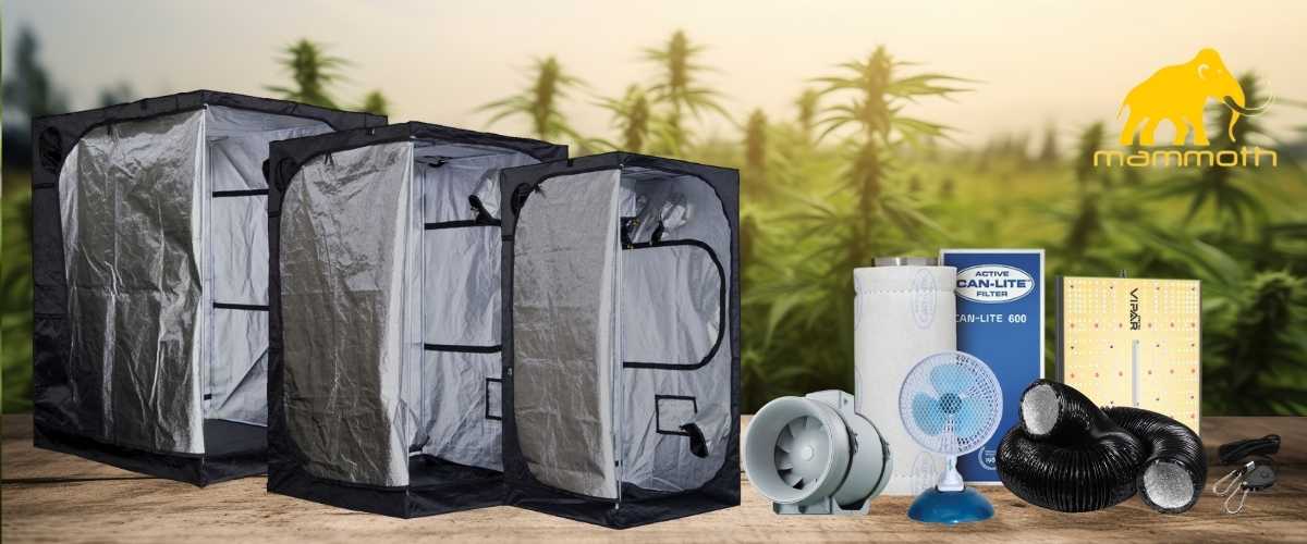 Cheap Complete Grow Tent Kits