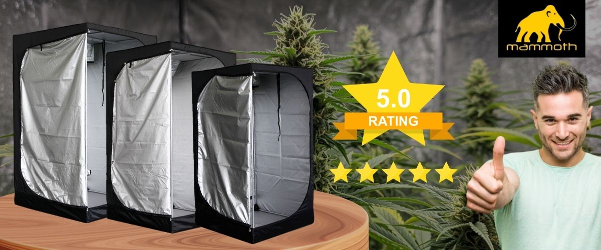 Mammoth grow tent assembly in European cultivation space