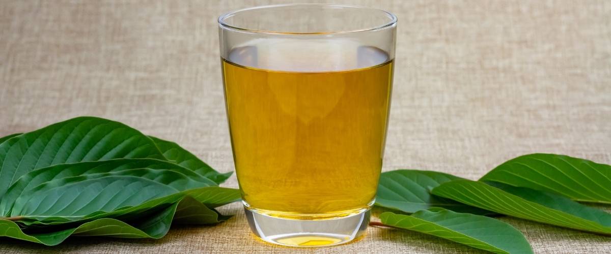 The safe dosage of two natural herbs Kanna and Kratom explained