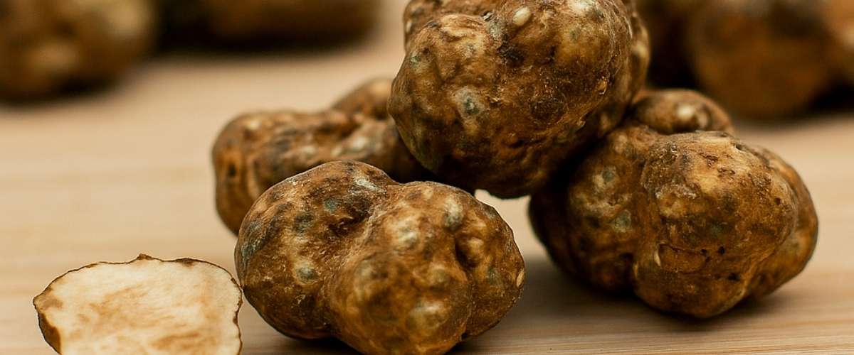 Safe use of magic truffles