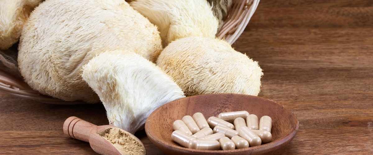 Is Lion’s Mane truly effective? Facts and hype behind this trending brain supplement