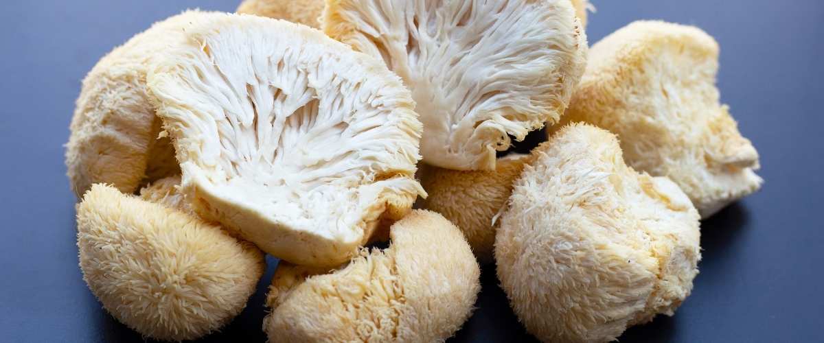 Lion’s Mane mushroom for natural energy, focus and mental clarity