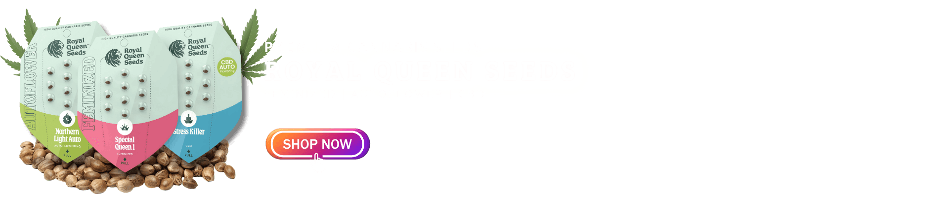 Royal Queen Seeds - Feminized, Autoflower & CBD