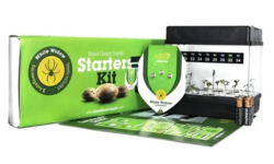 Germination, Sowing & Cloning