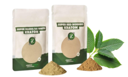 Kratom the 5 most popular types