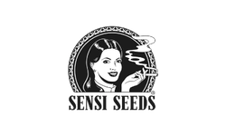 Sensi Seeds