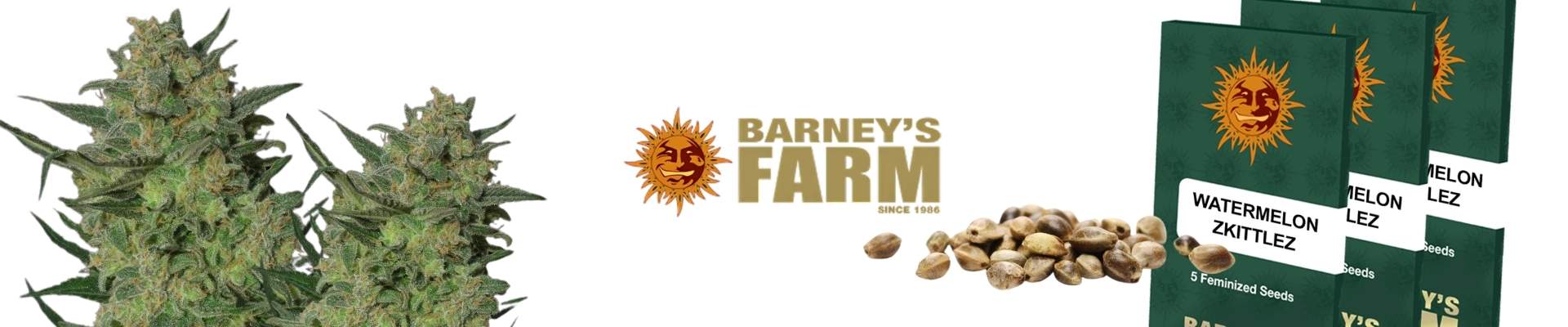 Barney's Farm